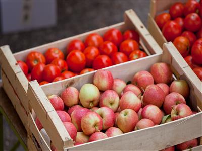 Food production and food processing companies